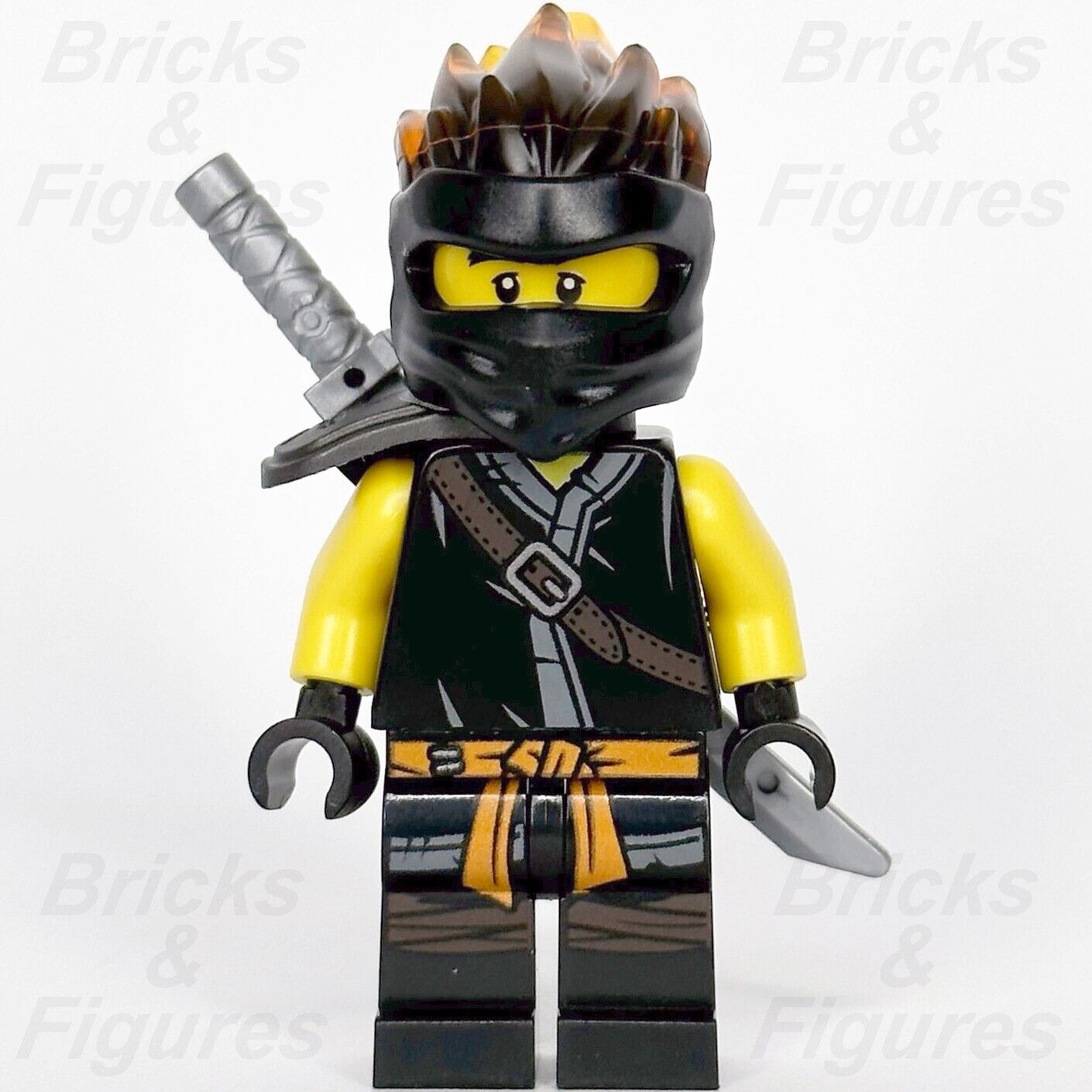 Lego ninjago hot sale spinjitzu cole