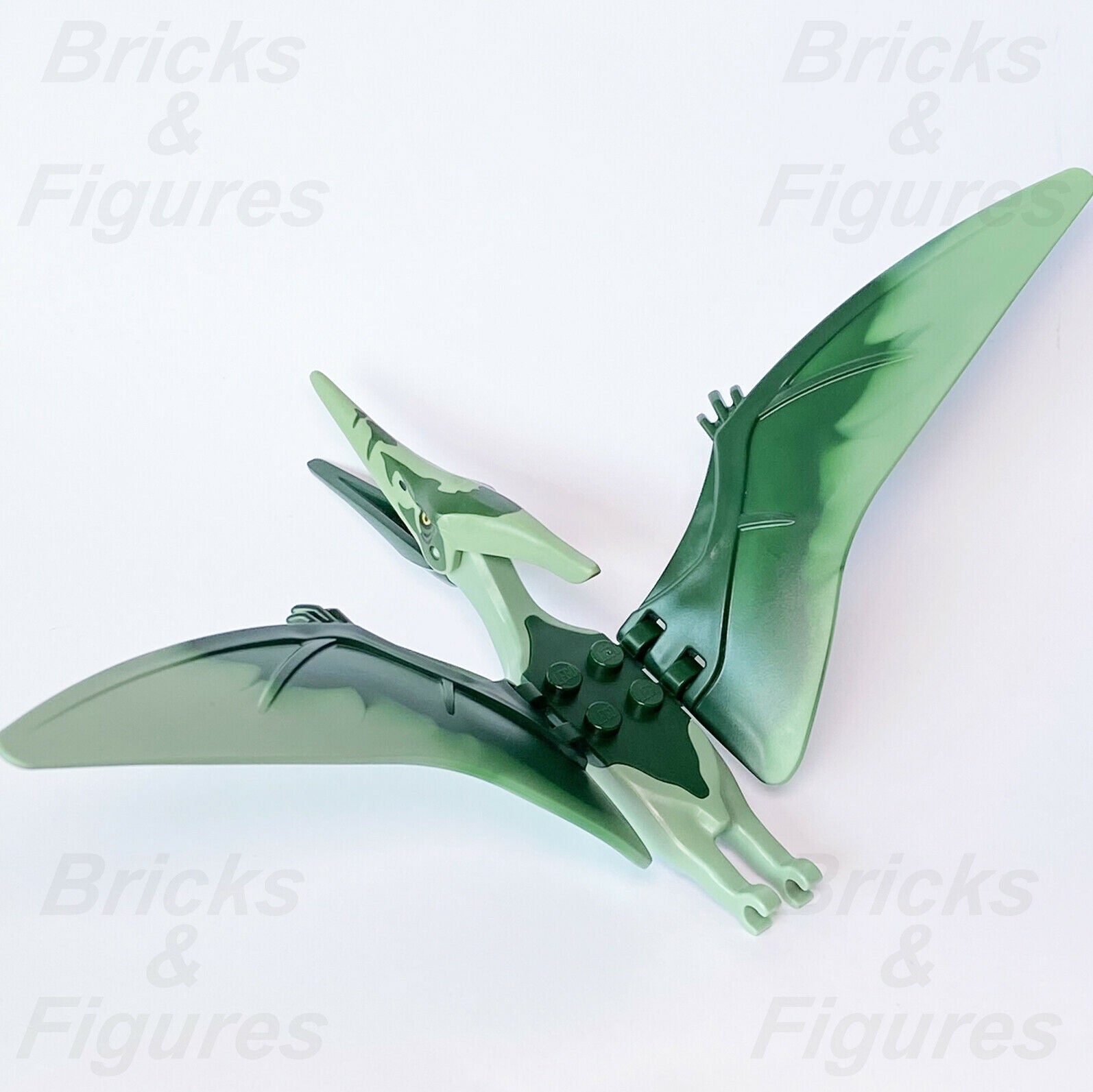 New Jurassic World LEGO Pteranodon with Dark Green Markings Dinosaur 7