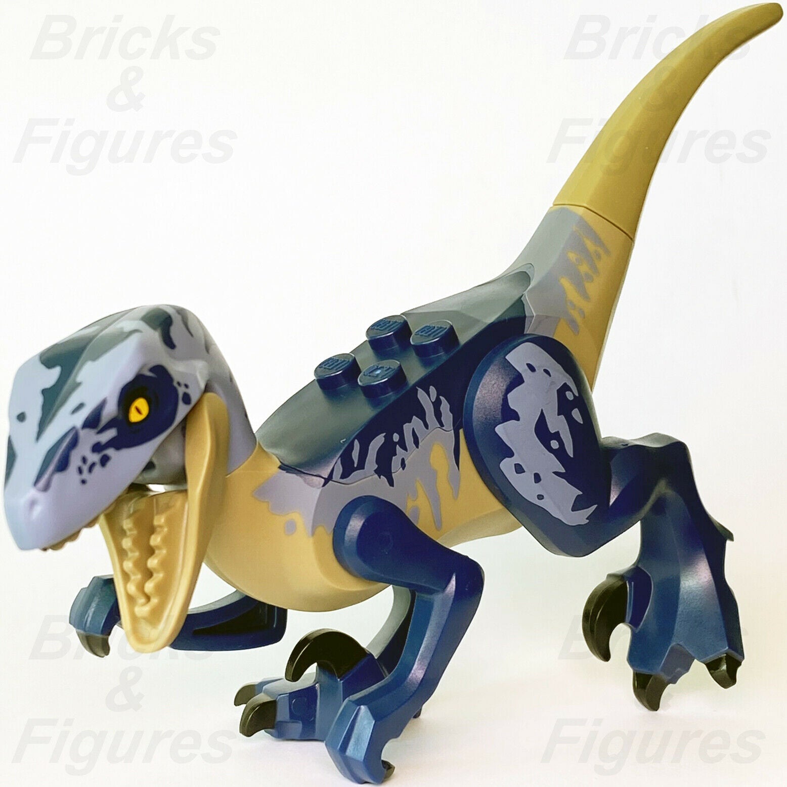 Raptor discount blue lego